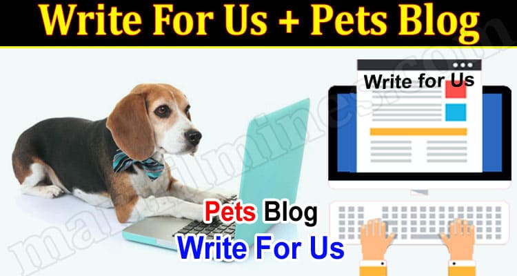 About General Information Write For Us + Pets Blog