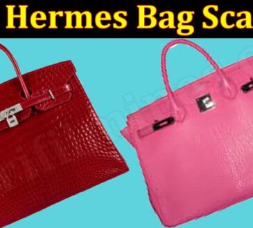 Is Hermes Bag Scam (June 2021) Checkout Details Now!