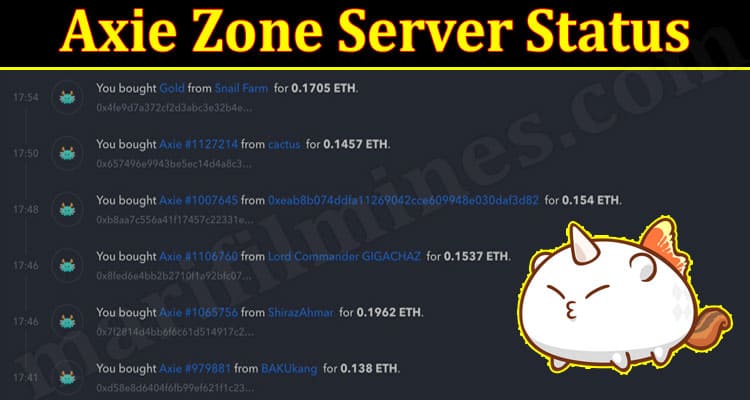 Axie Zone Server Status 2021.