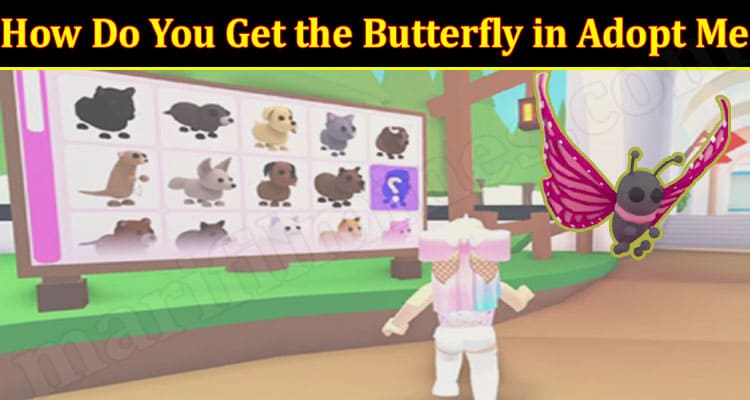 How Do You Get The Butterfly In Adopt Me 2021.