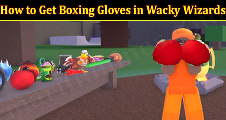 How to Get Boxing Gloves in Wacky Wizards 2021.