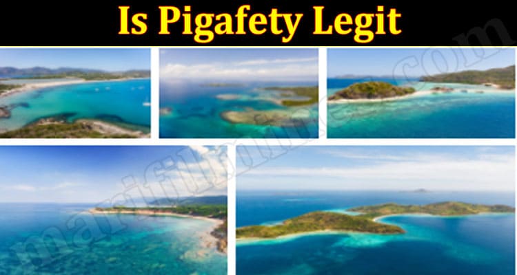 Is Pigafety Legit (July) Read Detailed Review Here!