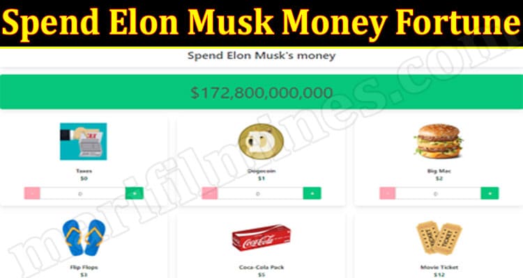 Spend Elon Musk Money Fortune 2021.