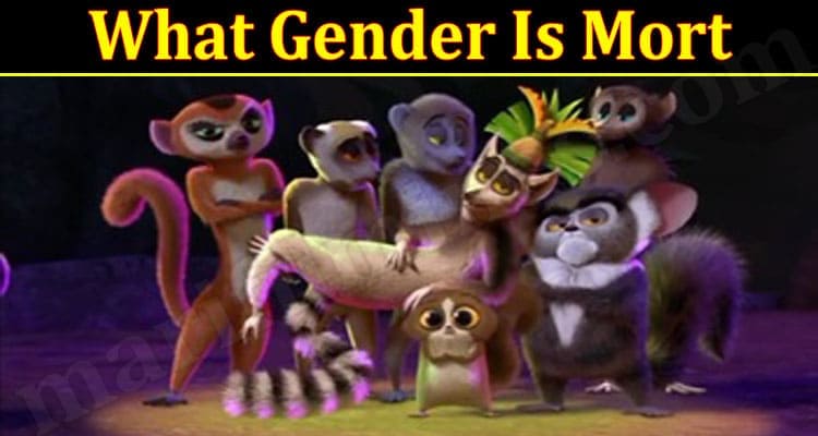 What Gender Is Mort (March 2022) Check Detail Information
