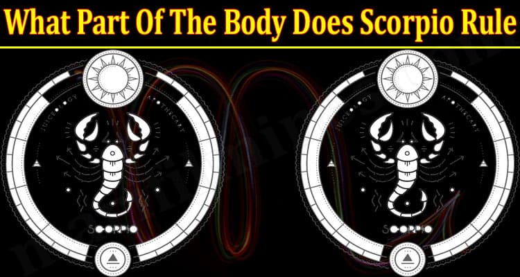 What Part Of The Body Does Scorpio Rule 2021.