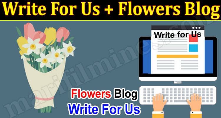 About General Information Write For Us + Flowers Blog