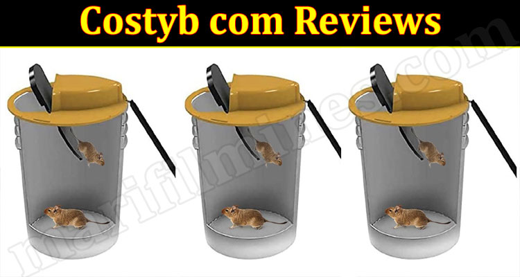 Costyb online Product Reviews