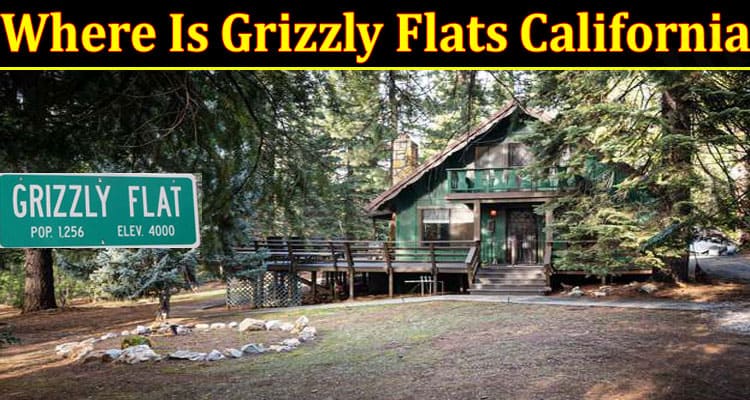 Latest News Grizzly Flats California