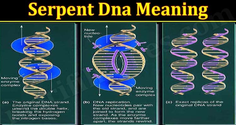 Latest News Serpent Dna Meaning