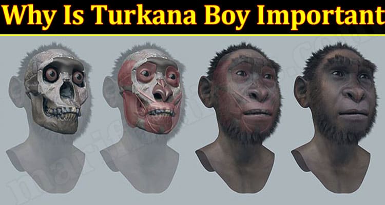 Latest News Turkana Boy Important