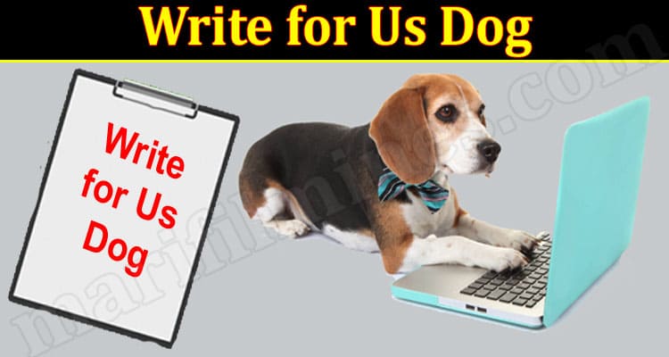 About General Information Write for Us Dog