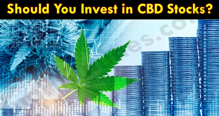 CBD Advisors Should You Invest in CBD Stocks