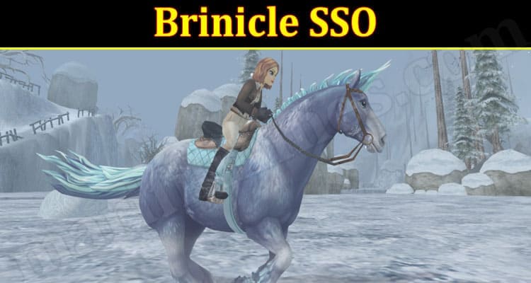 Gaming Tips Brinicle SSO