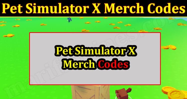 Pet simulator x merch codes 2022