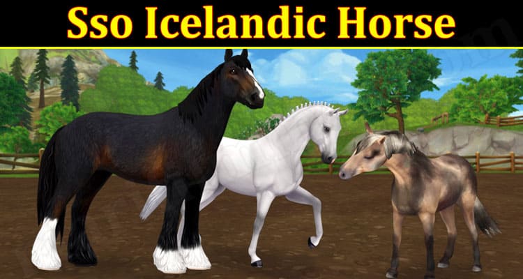 Gaming Tips Sso Icelandic Horse