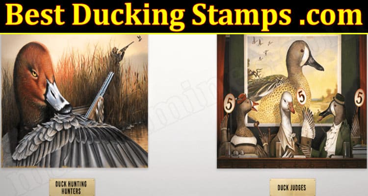 Latest News Best Ducking Stamps