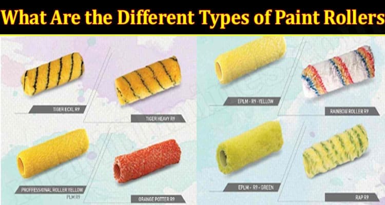 Latest News Different Types of Paint Rollers
