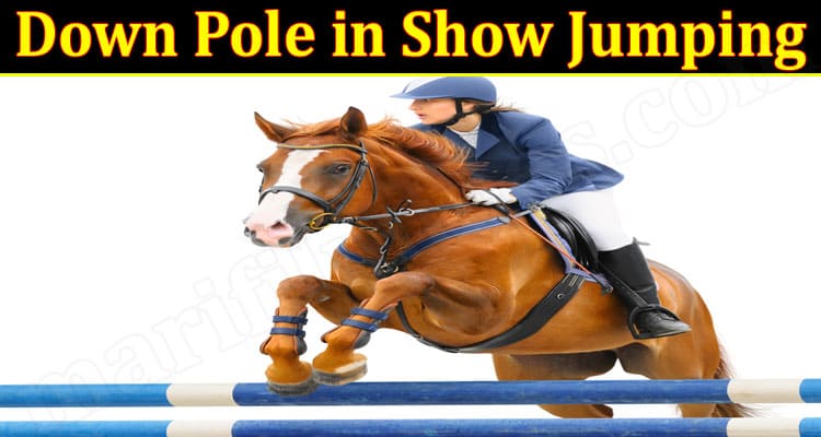 Latest News Down Pole in Show Jumping