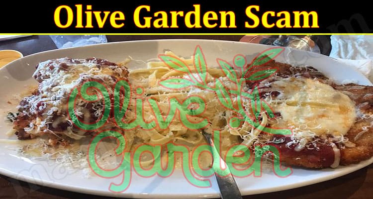 Latest News Olive Garden Scam