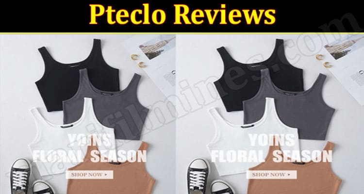 Pteclo Online website Review