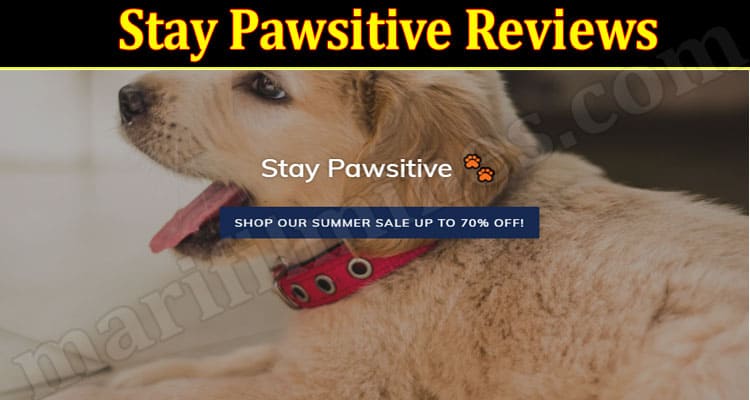 Stay Pawsitive Online website Review