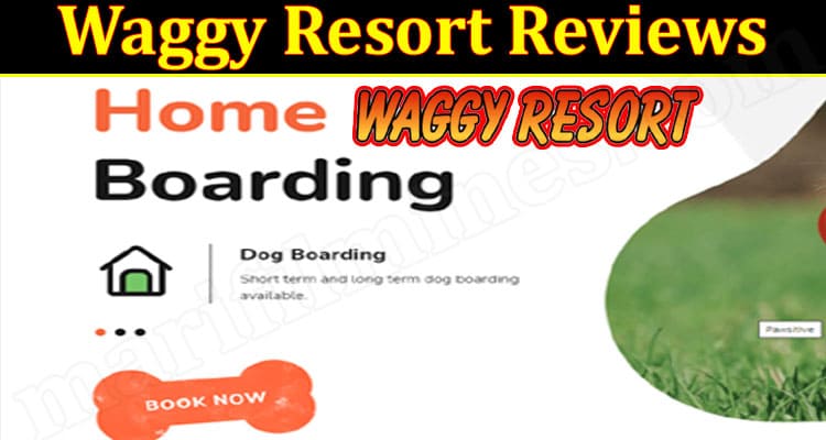 Waggy Resort Online Website Reviews