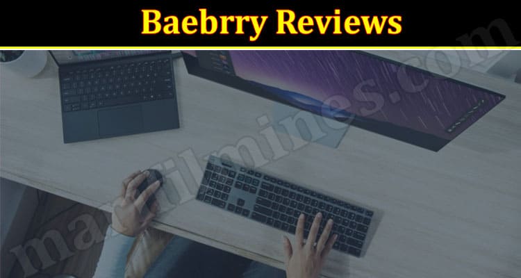 Baebrry online Website Reviews