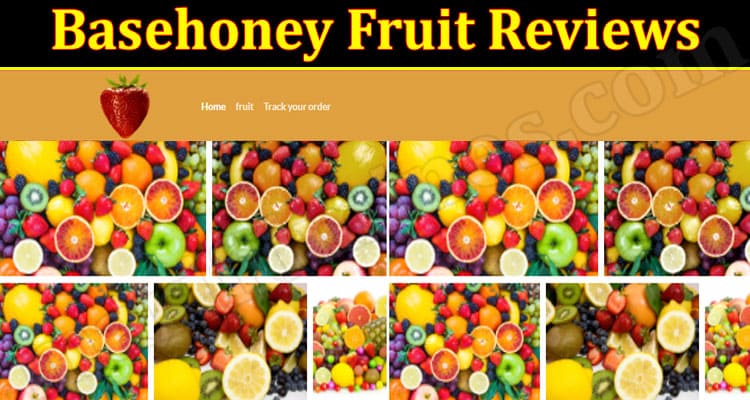 Basehoney FruitOnline Website Reviews
