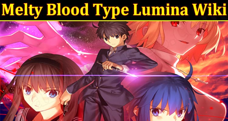 Gaming Tips Melty Blood Type Lumina Wiki