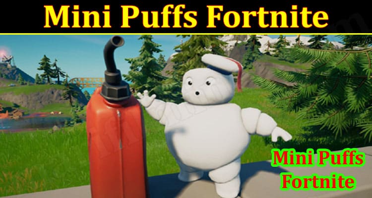 Gaming Tips Mini Puffs Fortnite