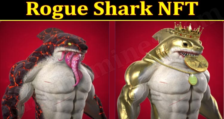 Gaming Tips Rogue Shark NFT
