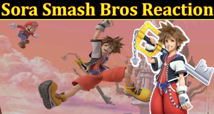 Gaming Tips Sora Smash Bros Reaction