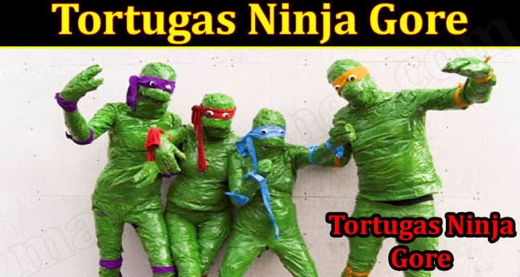 Gaming Tips Tortugas Ninja Gore