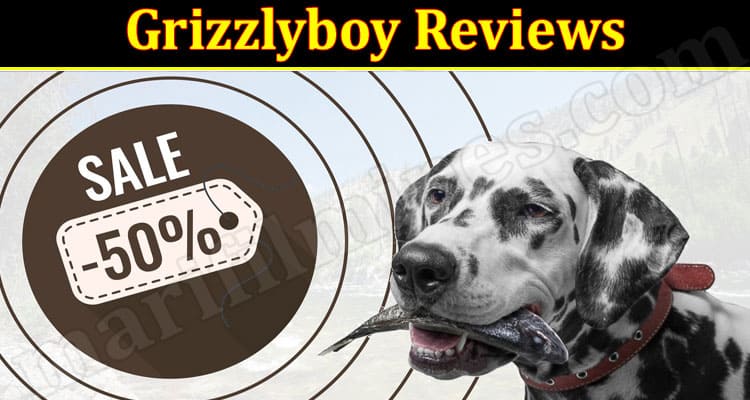 Grizzlyboy Online website Reviews