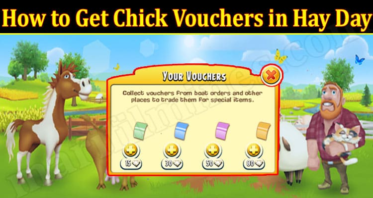 Latest News Chick Vouchers in Hay Day