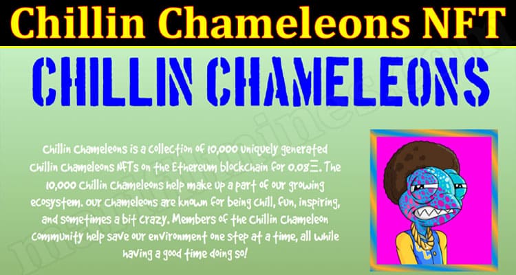 Latest News Chillin Chameleons NFT
