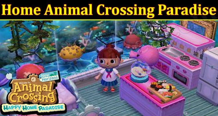 Latest News Home Animal Crossing Paradise