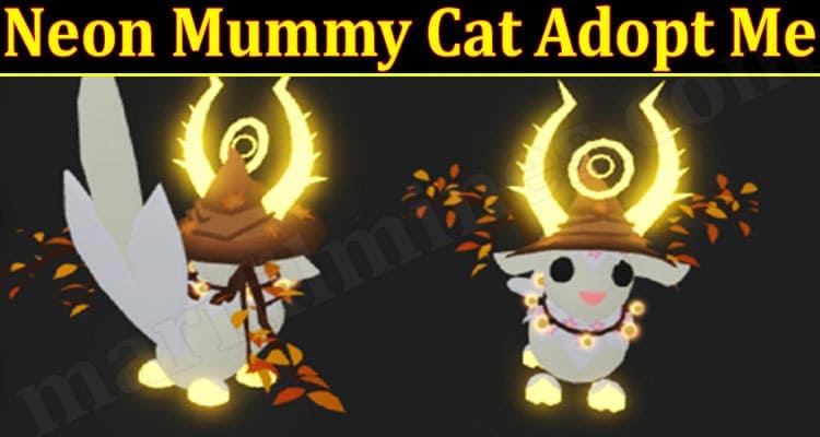 Latest News Neon Mummy Cat Adopt Me