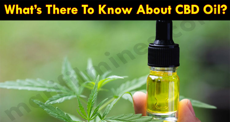 What is CBD Oil - Health Impect