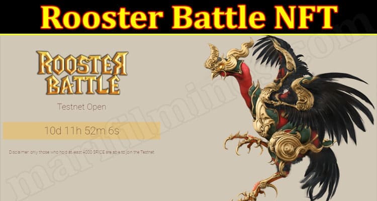 Gamig Tips Rooster Battle NFT