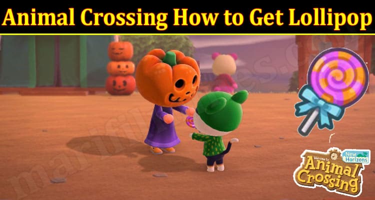 Gaming Tips Animal Crossing How To Get Lollipop