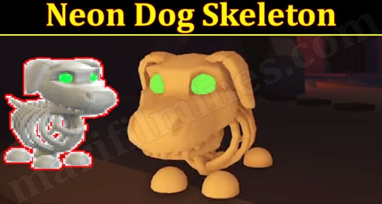 Gaming Tips Neon Dog Skeleton