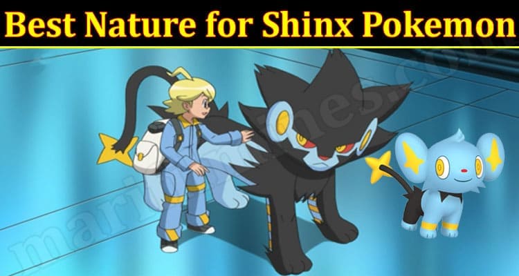 Latest News Best Nature for Shinx Pokemon