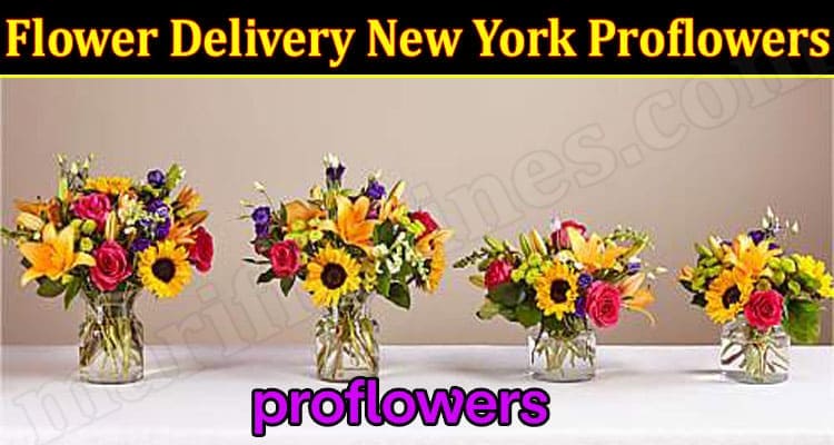 Latest News Flower Delivery New York Proflowers