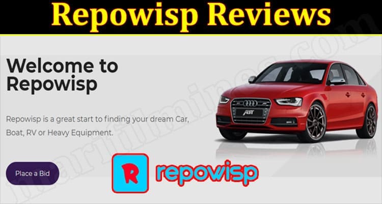 Repowisp Online Website Reviews