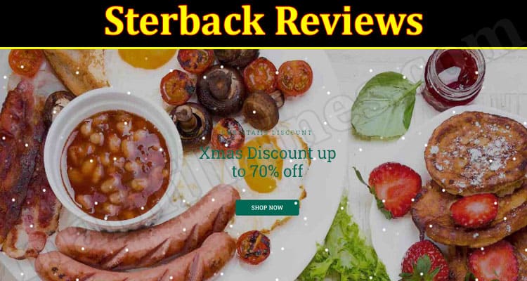 Sterback Online Website Review