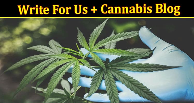About General Information Write For Us + Cannabis Blog