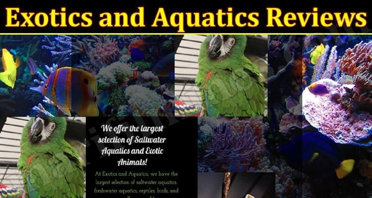 Exotics And Aquatics Online Website Reviews