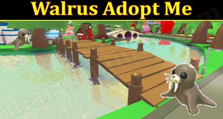 Gaming Tips Walrus Adopt Me