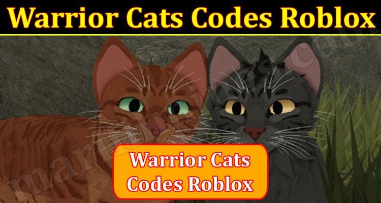 Gaming Tips Warrior Cats Codes Roblox
